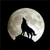 Moonlight аватар