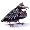 Raven4ic аватар