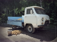 "Головастик"